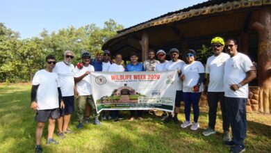 Wildlife Week 2026: 25-km cycle rally in Nava Raipur; 70 participants conveyed the message of conservation.