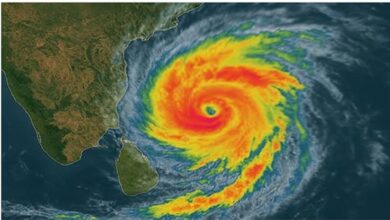 Chhattisgarh government on alert regarding Cyclone ‘Arnab’; issues directives to keep relief camps open 24 hours a day.